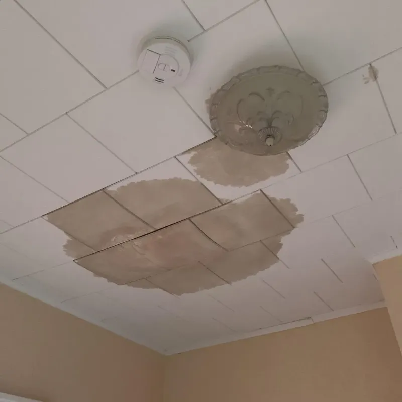 Ceiling Water Damage Repair in Green Hill, TN