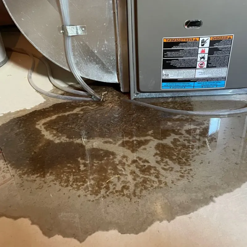 Pipe Burst and Leak Restoration in Green Hill, TN
