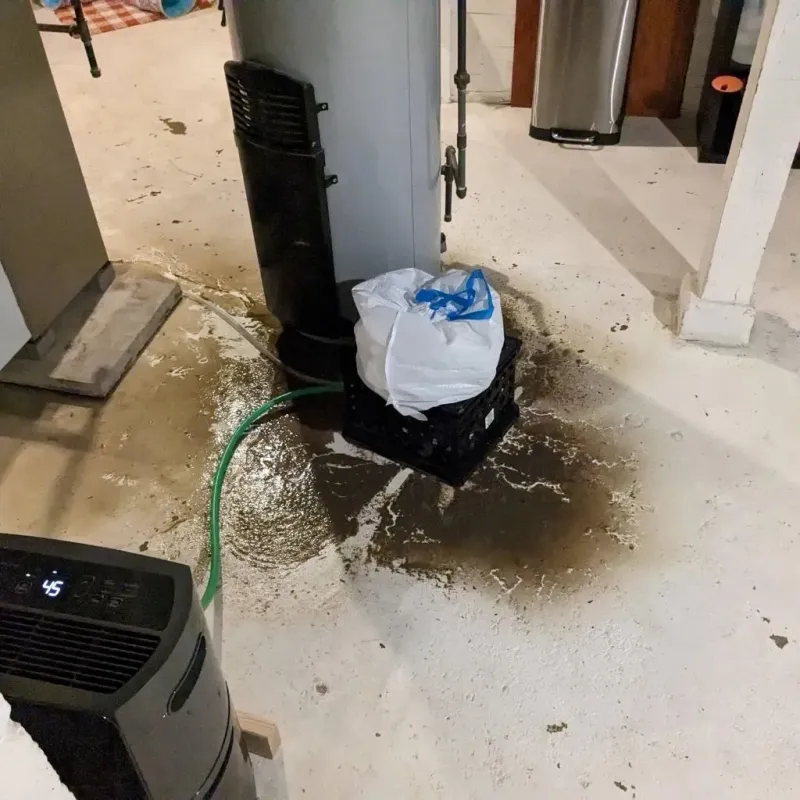 Sewage Backup Cleanup Service in Green Hill, TN